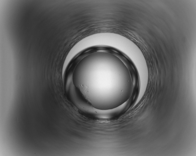 X0000094080425200710191425