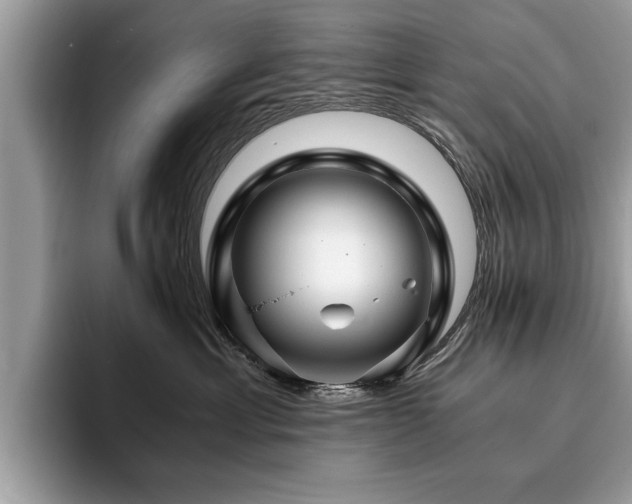 X0000094080429200710191425