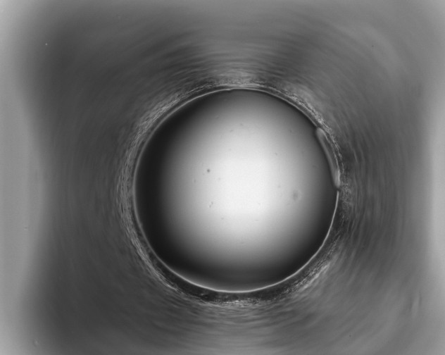 X0000094080433200710191424