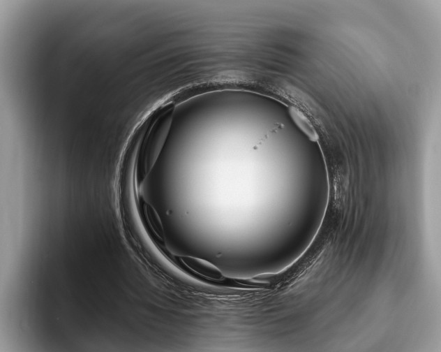 X0000094080436200710191424