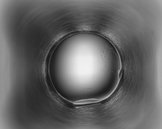 X0000094080439200710191424