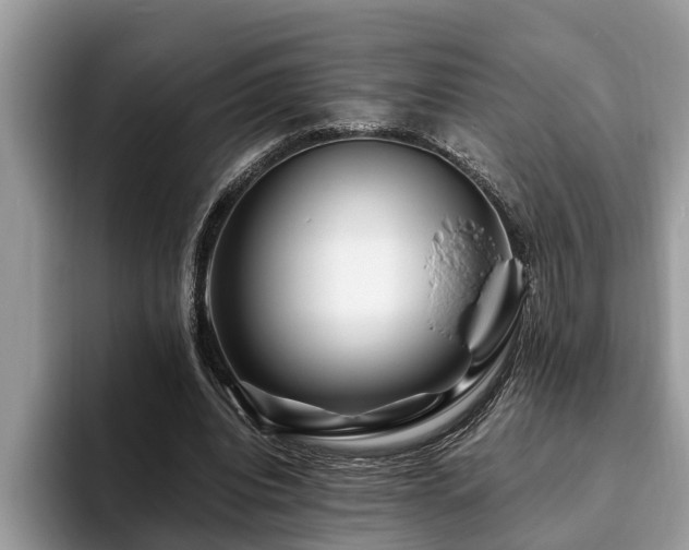 X0000094080440200710191424