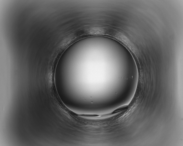 X0000094080441200710191424