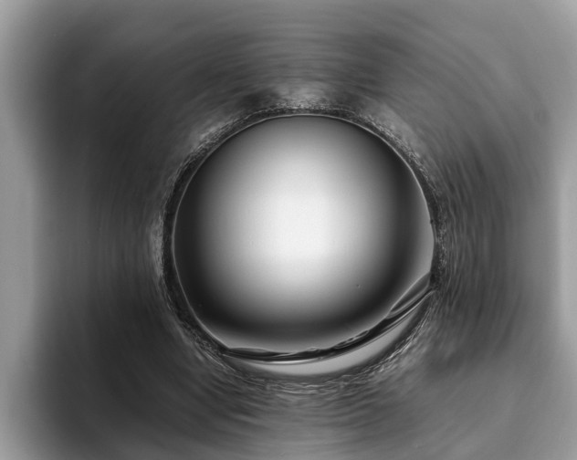 X0000094080442200710191424