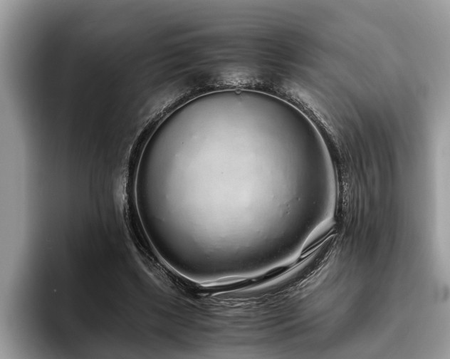 X0000094080443200710191424