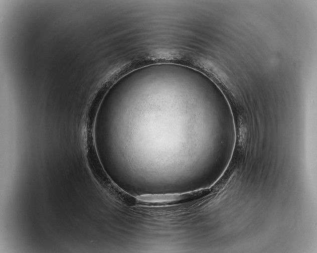 X0000094080444200710191424