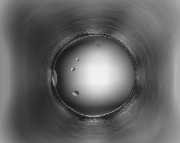 X0000094080445200710191424