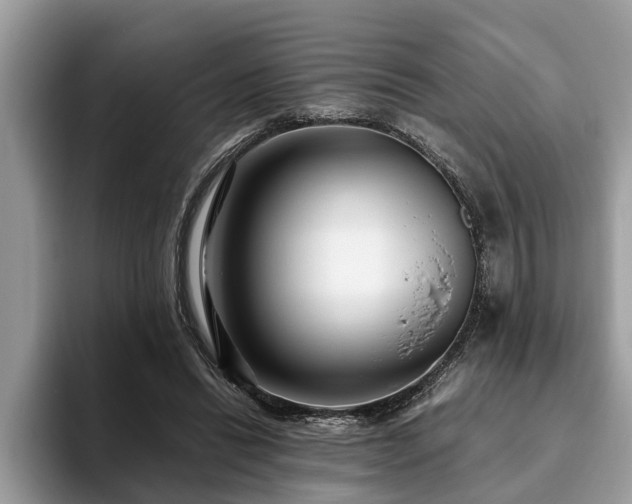 X0000094080446200710191424