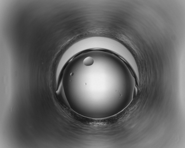 X0000094080448200710191424