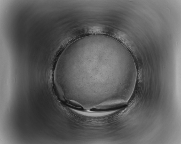 X0000094080449200710191424