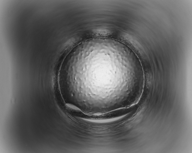 X0000094080451200710191424