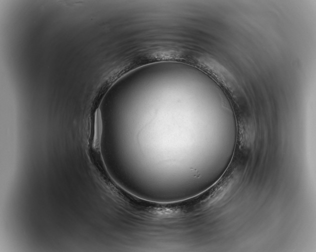 X0000094080453200710191424