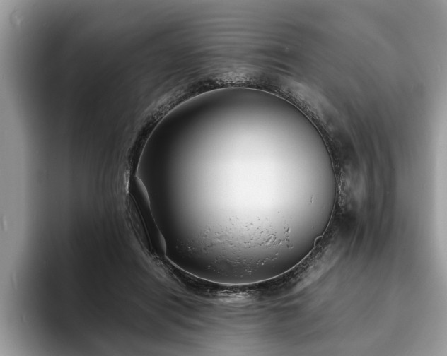 X0000094080454200710191424