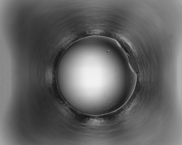 X0000094080455200710191424