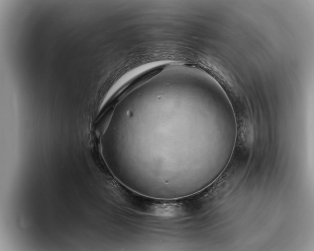 X0000094080461200710191425