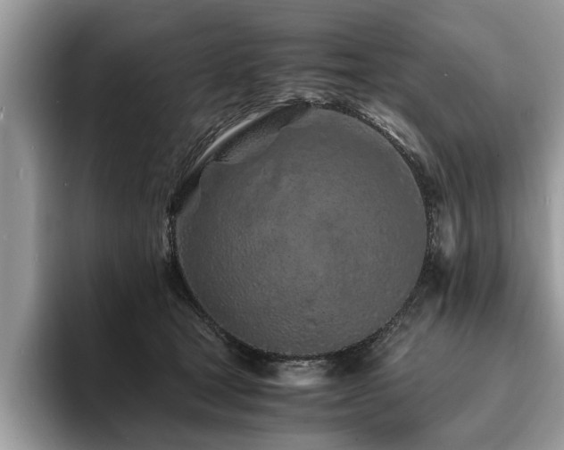 X0000094080465200710191425