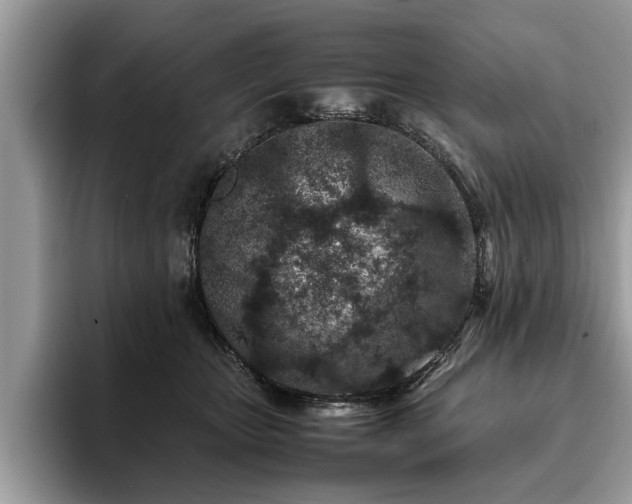 X0000094080467200710191425