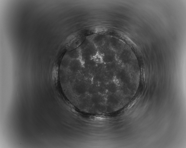 X0000094080475200710191425