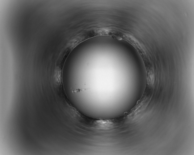 X0000094080477200710191425