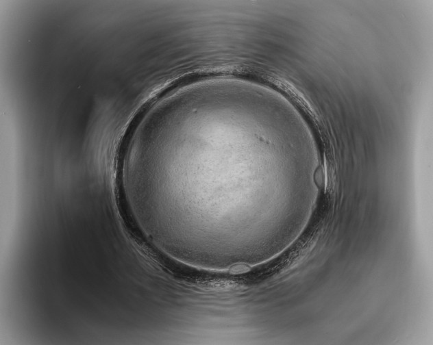 X0000094080483200710191424