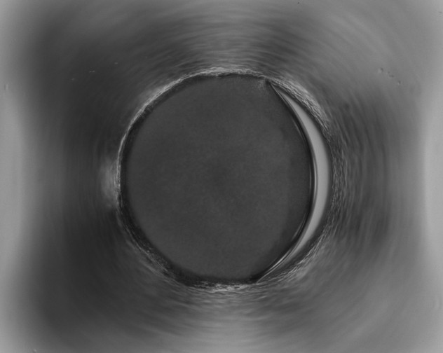 X0000094080484200710191424