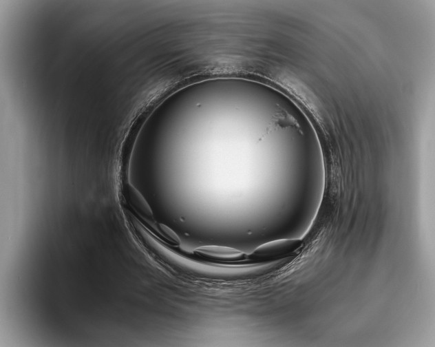 X0000094080485200710191424