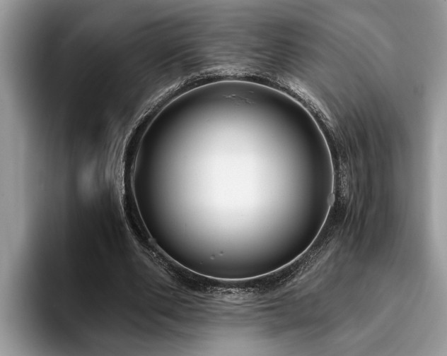 X0000094080486200710191424