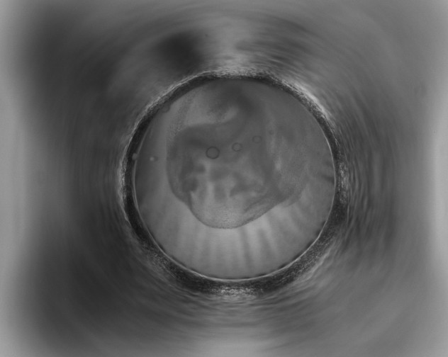 X0000094080487200710191424