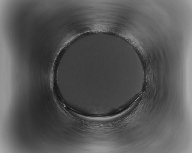 X0000094080488200710191424