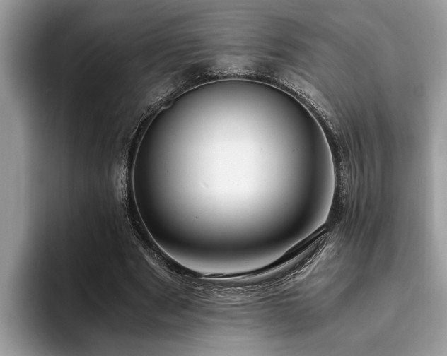 X0000094080489200710191424