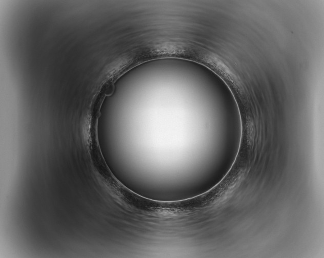 X0000094080490200710191424