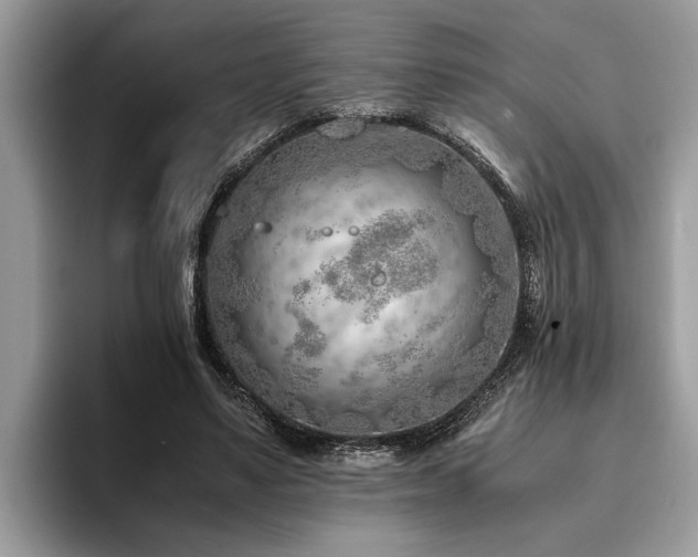 X0000094080491200710191424