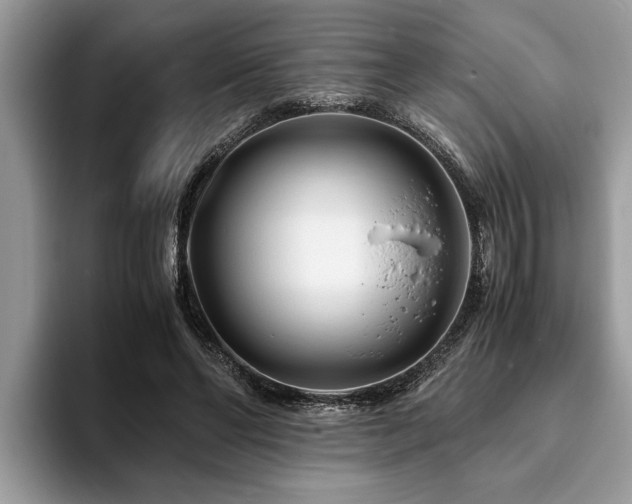 X0000094080494200710191424