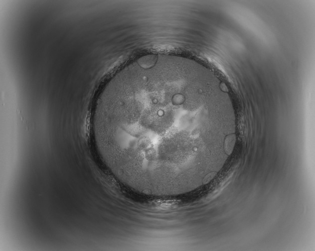 X0000094080495200710191424