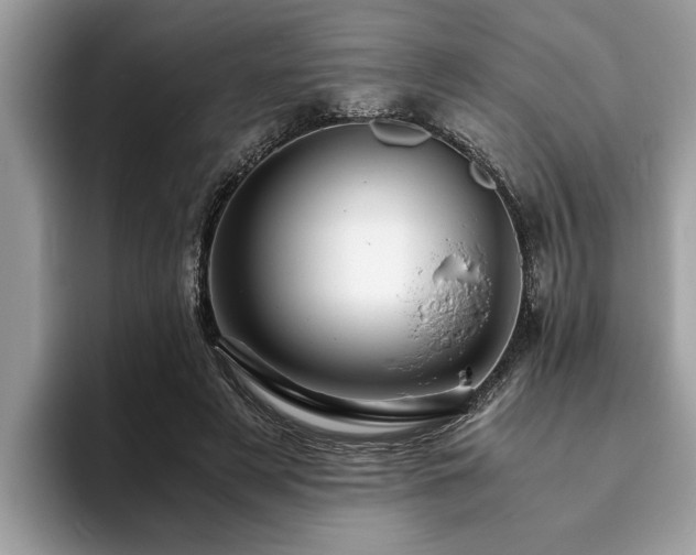 X0000094080497200710191424