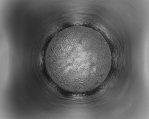 X0000094080499200710191424