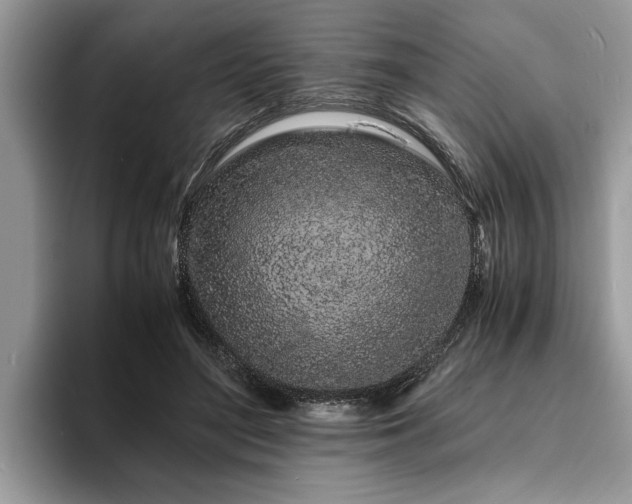 X0000094080500200710191424