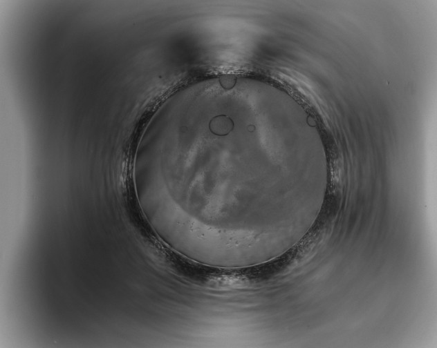 X0000094080503200710191424