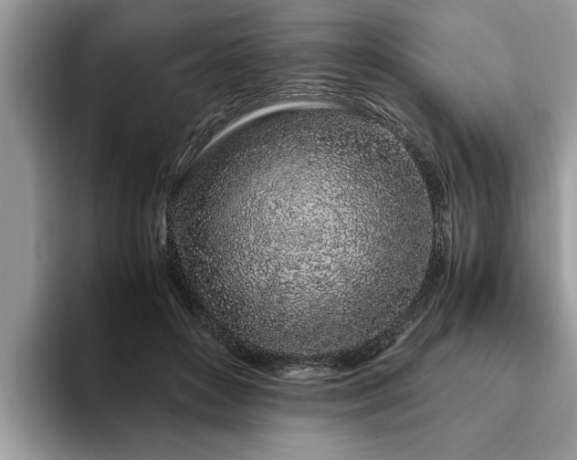 X0000094080504200710191424