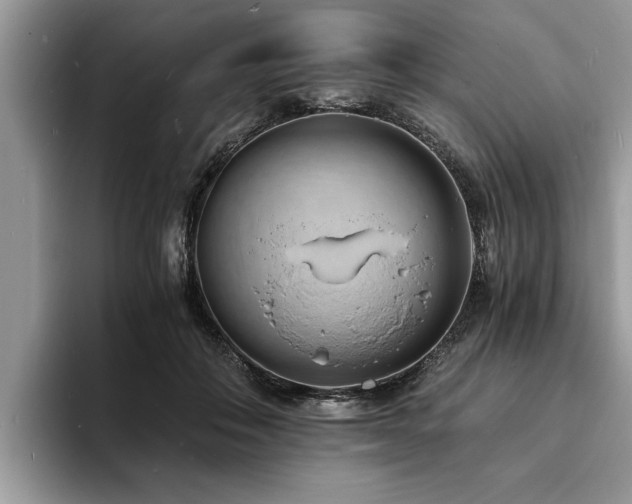 X0000094080506200710191424