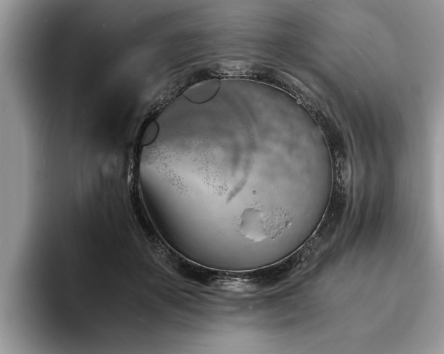 X0000094080507200710191424