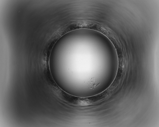 X0000094080510200710191424