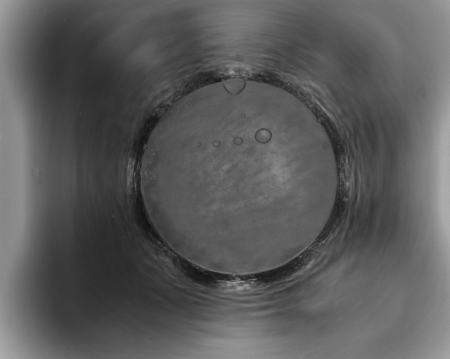 X0000094080511200710191424