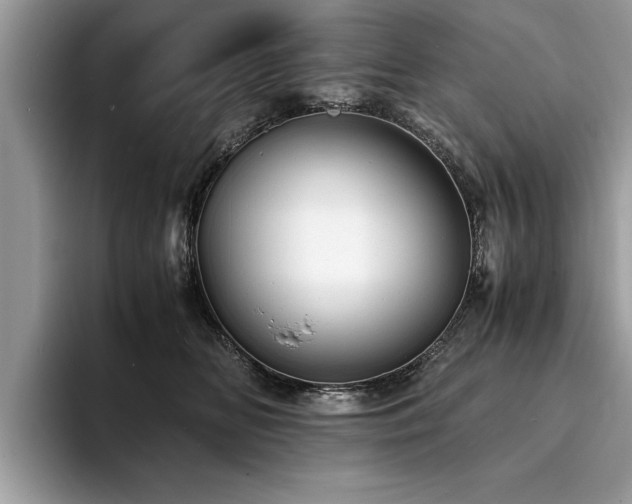 X0000094080518200710191424