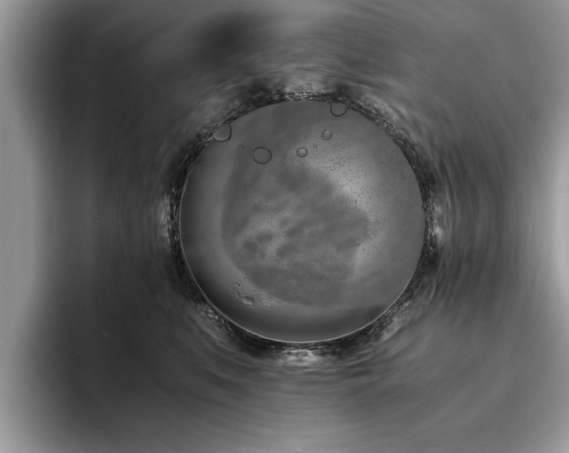 X0000094080519200710191424