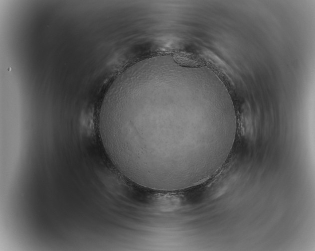 X0000094080520200710191424