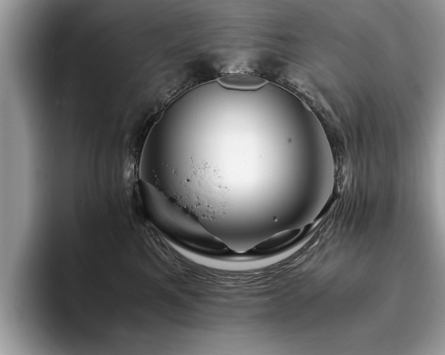 X0000094080521200710191424