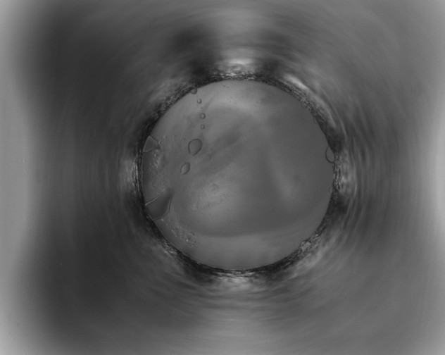 X0000094080523200710191424