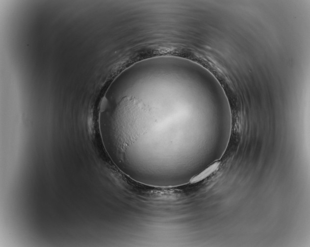 X0000094080524200710191424