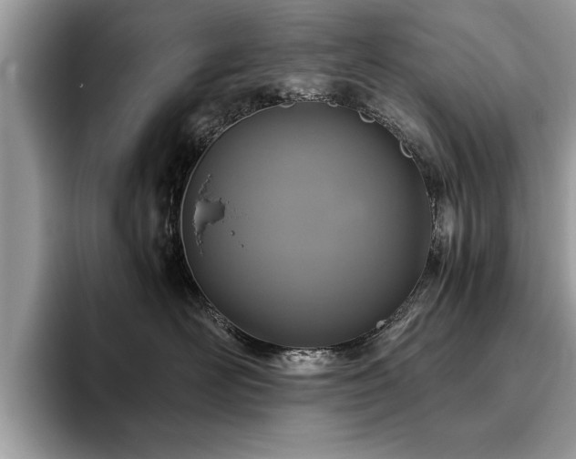 X0000094080526200710191424